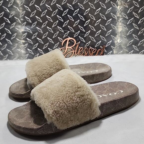 🐨COACH🐨ULLA SHEARLING SLIDE COMFORTABLE COLORWAY IVORY LADIES 8 NWB📦ELEGANT - Picture 1 of 16